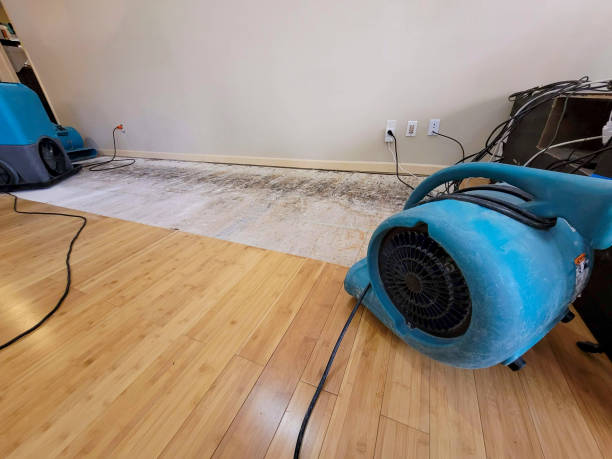 Professional Burst Pipe Water Damage technician working in Zumbro Falls, MN